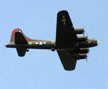 B17.webp