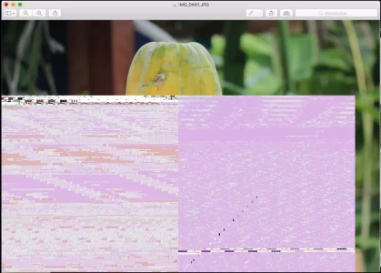 Capture-d’écran.webp