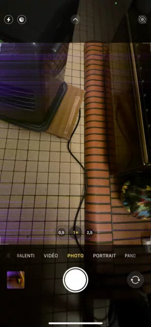 3635F0DA-23E6-4518-AE01-33E7AEA76D4D.webp