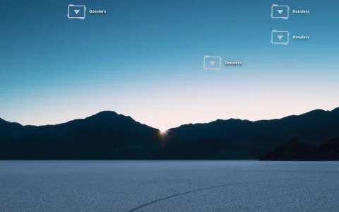 Capture d’écran 2021-02-01 à 16.31.18.webp