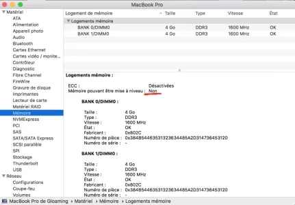 mac2.webp