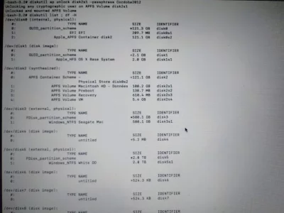 diskutil list.webp