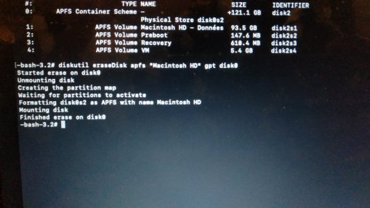 erasedisk0.jpeg