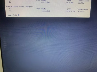 2F051775-9541-4598-97B2-D81C321A3838.webp