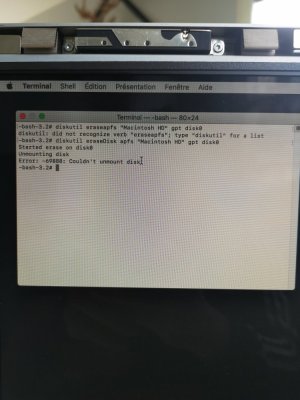 16137400647948432402144634924121.jpg