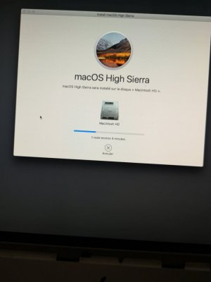 16140937984373845156615445449550.jpg