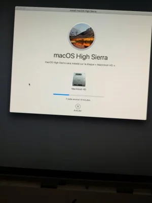 16140937984373845156615445449550.webp