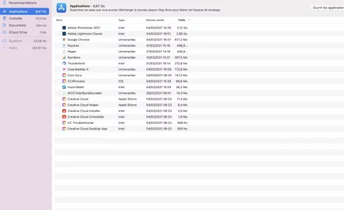 Capture d’écran 2021-03-04 à 17.26.27.webp