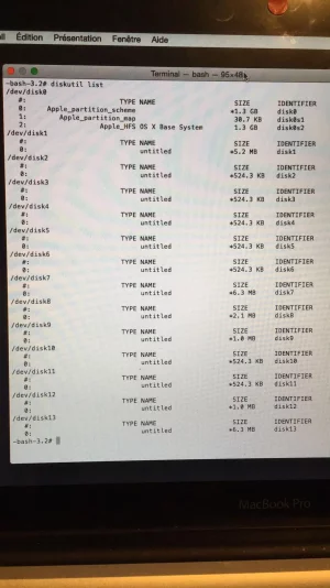 diskutil list.webp