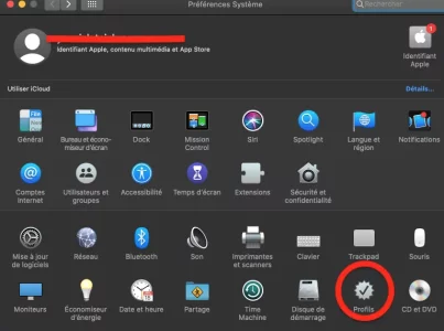 Capture d’écran 2021-03-10 à 15.11.50.webp