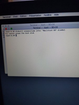 16157446626306840035272676807108.jpg