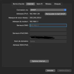 Internet.webp