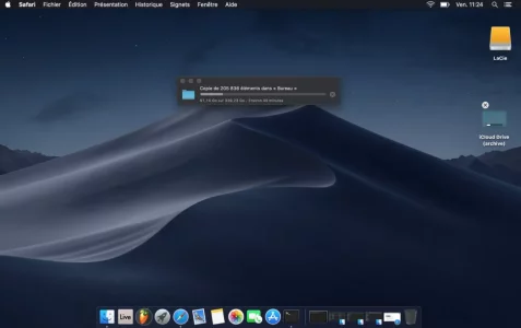 Capture d’écran 2021-04-09 à 11.24.53.webp