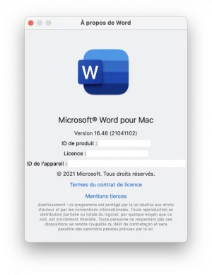 Version Word.webp