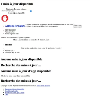 Capture d’écran 2021-05-06 à 09h53m18.webp