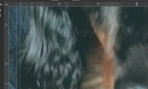 Capture d’écran 2021-08-06 à 18.37.31.webp