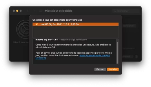Capture d’écran 2021-11-07 à 17.14.56 2.webp