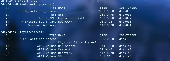 diskutil list.webp
