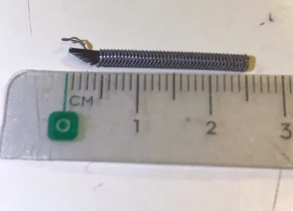 taille du sujet.webp