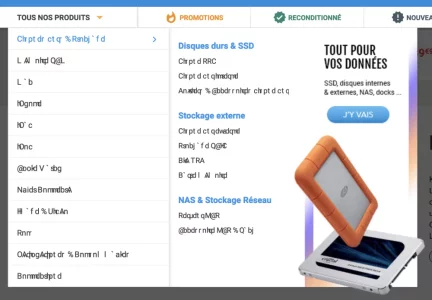 Capture d’écran 2022-01-05 à 22.11.32.webp