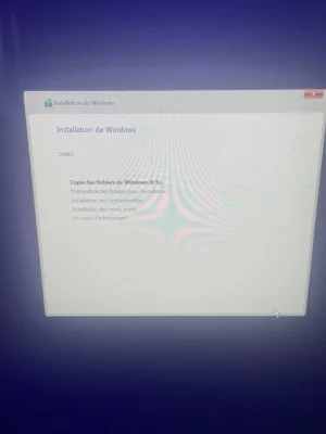 7.webp