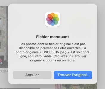 Capture d’écran 2022-02-14 à 16.58.09.webp