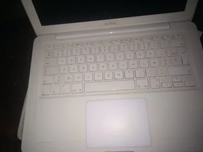 16455588103562561230398135750065.webp