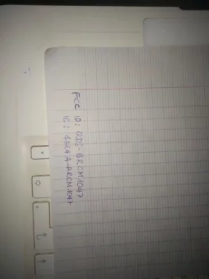 16455588544124376076818451927597.webp