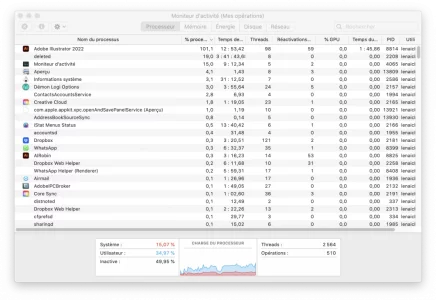CAP2.webp