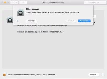 Capture d’écran.webp