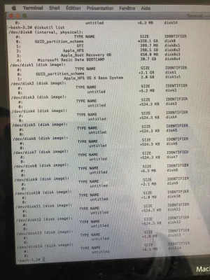 DiskutilList.webp