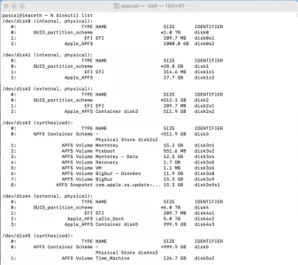 diskutil_list.webp