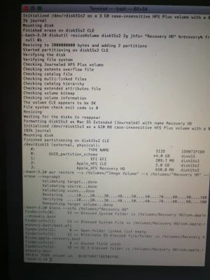 5.webp