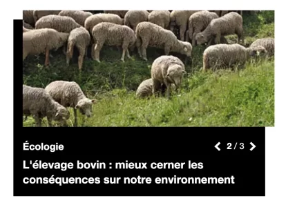 Capture d’écran 2022-11-27 à 11.24.08.webp