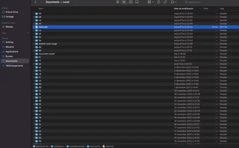 Capture d’écran 2022-12-07 à 23.00.00.webp
