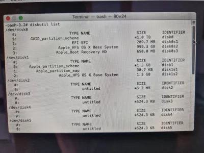 imac diskutil list.webp