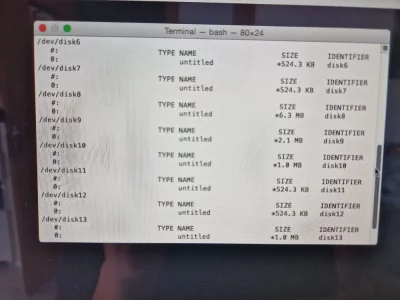 imac diskutil list 2.webp