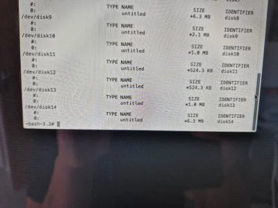 imac diskutil list 3.webp