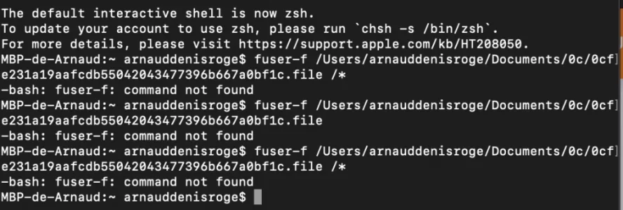 Capture d’écran 2022-12-22 à 17.43.38.webp