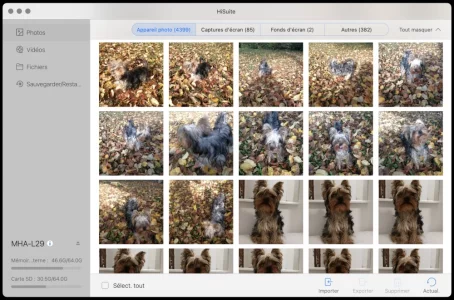 Capture d’écran 2023-02-08 à 09.30.18.webp