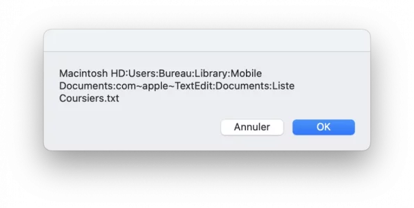 Capture d’écran 2023-02-12 à 19.23.45.webp