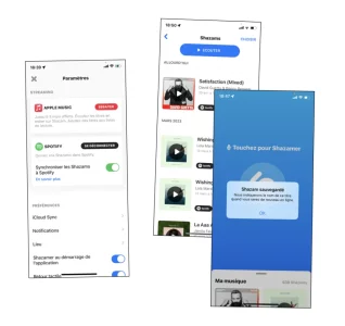 bug shazam 2023b.webp