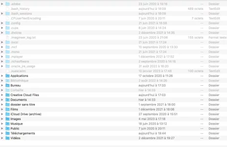 Capture d’écran FichiersCachés.webp