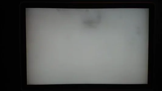 16862432688358058981814158788528.webp