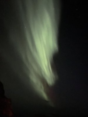IMG_8521.jpg