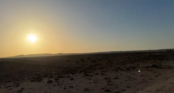 Capture d’écran 2024-02-22 à 01.21.46.webp