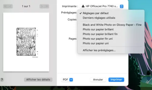 439366656_412429758307166_8283482307460109897_n.webp