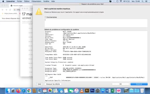 Capture d’écran 2024-05-17 à 13.46.31.webp