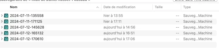 (1) Disque TM.webp