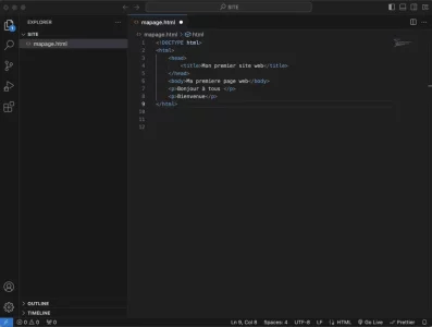screen vs code.webp